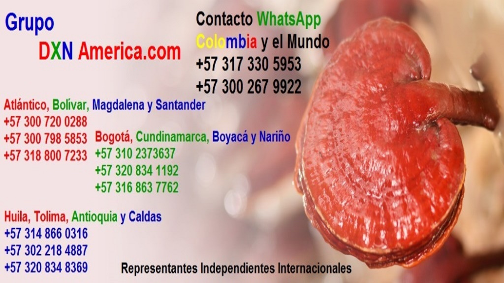 Salud Ganoderma y Spirulina